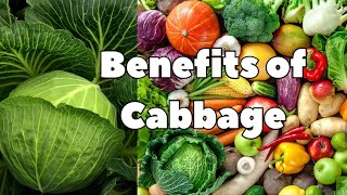 Benefits of Cabbage [upl. by Centeno]