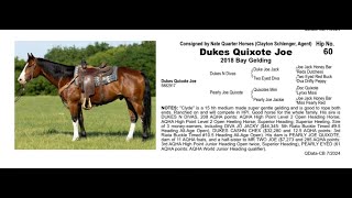 Pitzer Ranch Fall Sale 2024 Lot 60 DUKES QUIXOTES JOE [upl. by Odranreb]