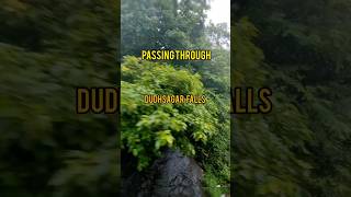 MAGNIFICENT DUDHSAGAR WATERFALL shorts dudhsagarwaterfalls ytshorts [upl. by Woodley]