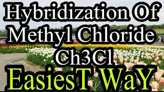 Hybridization Of Methyl Chloride Ch3Cl [upl. by Alue]