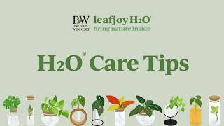 leafjoy H2O Care Tips [upl. by Hochman]