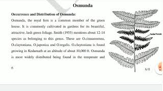 II BSc Botany CBZ Osmunda by Dr Vinayaka KS [upl. by Catharina]