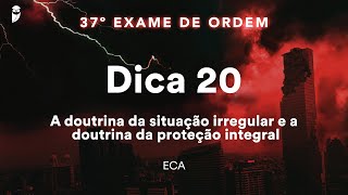 Géssica Ehle  ECA  Dica 20  A doutrina da situação irregular e a doutrina da proteção integral [upl. by Aehcsrop373]