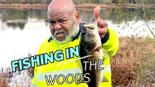 FISHING IN THE WOODS with Fishinndahood fypyoutube fishing bassfishing explorepage countrylife [upl. by Nnylesor914]