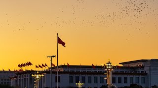 Live China holds flagraising ceremony on National Day [upl. by Odawa]