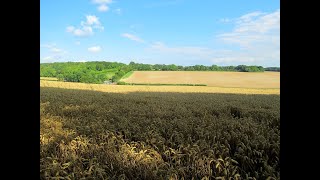 Walking up to Ten Acre Field from Worzel Gummidge [upl. by Rip704]