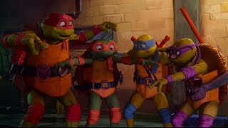 Tmnt 12 react to MM tmnt [upl. by Ellebana]