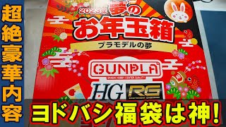 【2023年ガンプラ福袋開封】15万円のヨドバシカメラ製ガンプラ福袋の中身が総額〇〇万円でヤバすぎる！最新ガンプラとゴッドハンドのあのニッパーが！！ [upl. by Nenney]