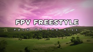 FPV Freestyle  PackOnTheHill [upl. by Ahsiekim168]