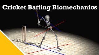 Cricket Batting Biomechanics  Dr Stuart McErlainNaylor [upl. by Wadsworth964]