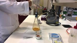 Slide preparation w acridine orange for heterotrophic prokaryotes w epifluorescence microscope [upl. by Eiralav]