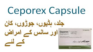 ceporex capsule 500mg uses  ceporex  cephalexin [upl. by Warram252]