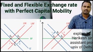 Fixed And Flexible Exchange Rate with perfect capital mobility [upl. by Lachish867]