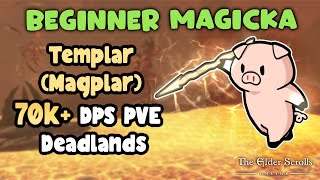 ESO Beginner Magicka Templar Magplar 70k PVE DPS Build UPDATED Build in Description [upl. by Hama148]