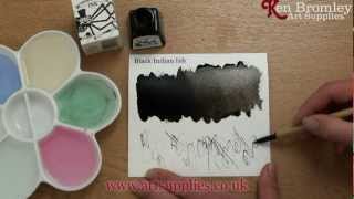 Winsor amp Newton Drawing Ink Black Indian Ink 030 [upl. by Phedra571]