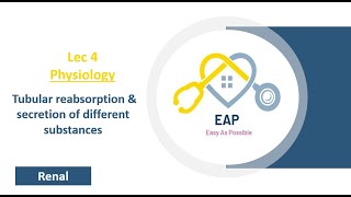 Lec 4  Physiology  Tubular reabsorption amp secretion of different substances 1  Renal [upl. by Yelahs]