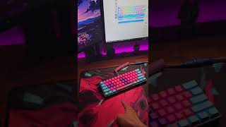 Best budget keyboard womier WK61 hot swappable under 40 bucks [upl. by Scoville918]