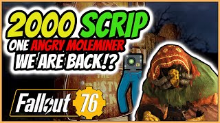 Fallout 76  SCRIP MY PANTS we are back Hello WastelandMurg [upl. by Aerbma]