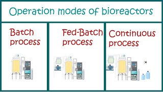 Types of Bioprocesses  Batch  Fed Batch and Continuous processes [upl. by Ariait581]