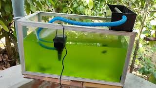 How to Setup Top Filter in Aquarium  Install Top Filter [upl. by Hephzipah]