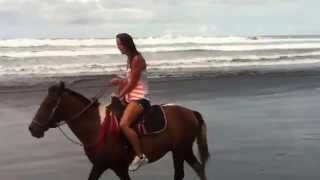 Manuel Antonio National Park horseback exclusive customized tours on the beach [upl. by Otxilac]