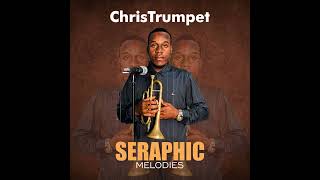 Seraphic Melodies 🎺 📯ChrisTrumpet [upl. by Mehcanem582]