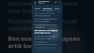 Gamzendeki Çukur  Lyrics  shorts keşfet edit tiktok ytmusic [upl. by Niajneb390]