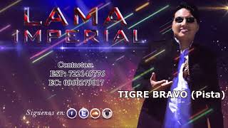 TIGRE BRAVO  Pista LAMA IMPERIAL [upl. by Asylla]