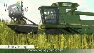 Industrial Hemp production basics for Ontario [upl. by Bashemeth126]