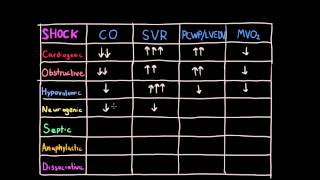 Differentiating Shock [upl. by Vona]