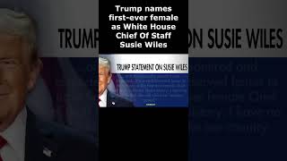 quotlet Trump be Trumpquot Susie Wiles shorts election2024 trump shortvideo short maga usa [upl. by Oza94]