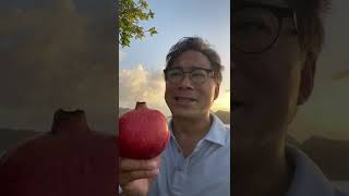 The Powerful Health Benefits of Pomegranates  Dr William Li [upl. by Lemak]