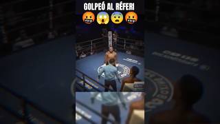 Boxeador le pega a Réferi [upl. by Ernaldus]