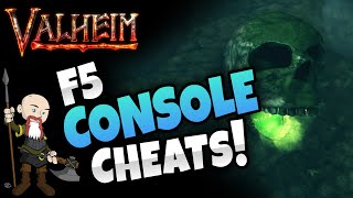 F5 Console Commands  Cheats  Valheim Tips and Tricks [upl. by Jaquelyn48]