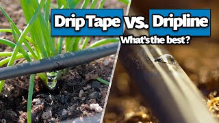 Dripline vs Drip Tape Whats best for your Garden [upl. by Aila]