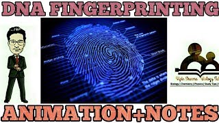 DNA fingerprinting animationnotes video  most simplified video on DNA fingerprinting [upl. by Ekard]