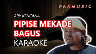 PIPISE MEKADE BAGUS ARY KENCANA KARAOKE [upl. by Sang]