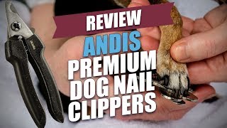 Andis Premium Dog Nail Clippers Review [upl. by Kcirtap889]