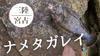 【三陸宮古】ナメタガレイ釣り 其の一【ロックフィッシュ】 [upl. by Boehike]