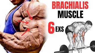 5 BEST BRACHIALIS WORKOUT AT GYM FASTER [upl. by Astiram]