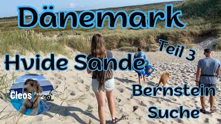 Dänemark Teil 3 Hvide Sande und Bernsteinsuche [upl. by Whiffen]