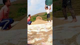 Jingim nongkyndong jingim nong rep teamwork comedy [upl. by Doane213]