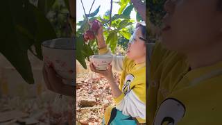 Satisfying Plum Harvest Sounds  Rural Life and Fresh Fruit Collection [upl. by Llednek]