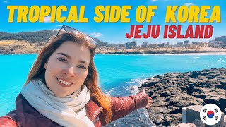 ULTIMATE 2 days JEJU ISLAND itinerary [upl. by Zysk]