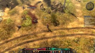 Grim Dawn Demolitionist  Soldier Lvl 20ish Talent Build Gameplay [upl. by Acirrej]