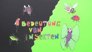 BEDEUTUNG VON INSEKTEN  Biologie  Biologie der Tiere Mittelstufe [upl. by Naul]