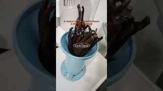 UnDEPORTED Vanilla Beans from Tanzania We export Vanilla Beansvanilla vanillaextract vanilla [upl. by Attener]