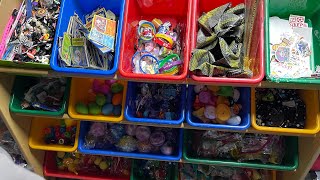 Sorting Teenie beanie babies part 1 [upl. by Immanuel]