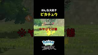 『Pokémon LEGENDS アルセウス』みんな大好きピカチュウ！！ shorts [upl. by Awram]