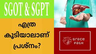 Are all SGOT  SGPT levels above normal range dangerous Malayalam [upl. by Adora]